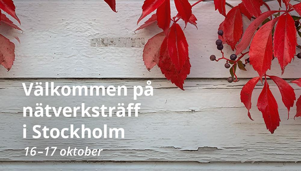 SNDs nätverksträff i Stockholm 16 till 17 oktober 2024