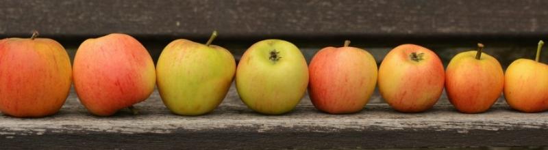 Exempel på metadatastandarder